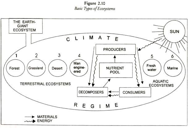 Flow Chart Of Classification Of Ecosystem