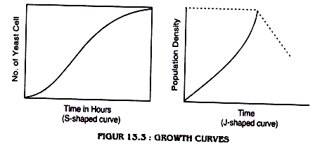 an essay on population growth curve