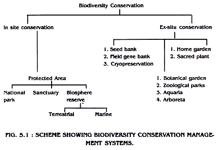 Make A Chart To Show 2 Ways To Protect Wildlife