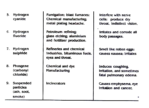 Essay on air pollution for children and students