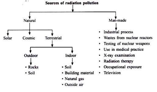 Essay on pollution for children and students