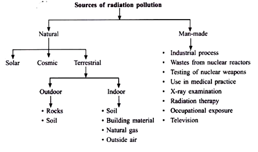 Essay nuclear pollution