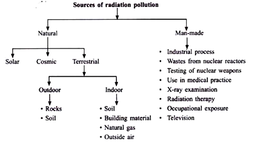 Pollution essays uk zip