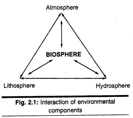 Biosphere Chart