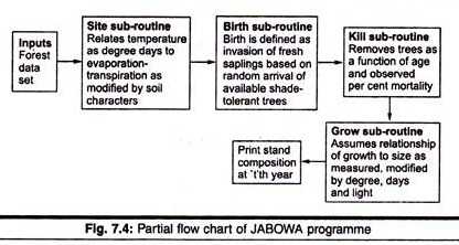 Flow Chart Of Ecological Succession