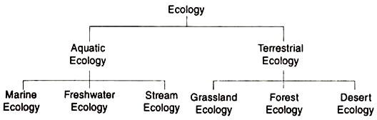 Branches of Ecology