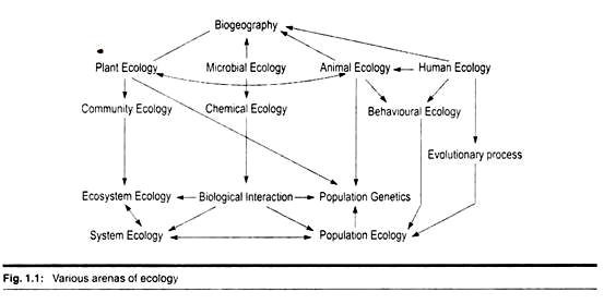 Various arenas of ecology