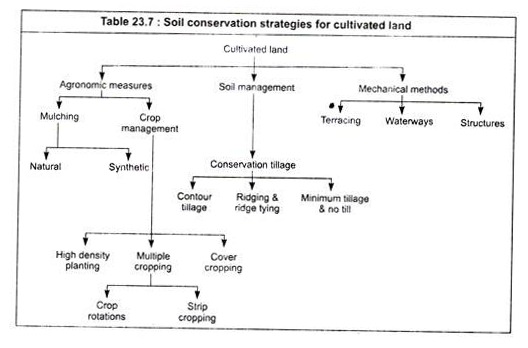 Soil Conservation Strategies for Cultivated Land